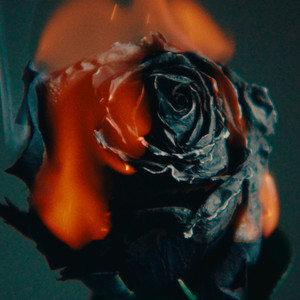 摸老公鸡巴视频
